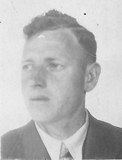 Henricus van Straten